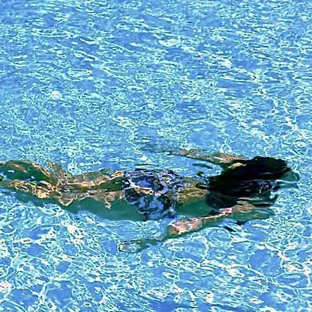 Strogili