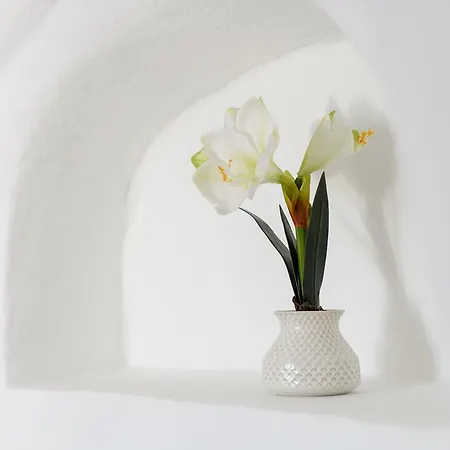 アパートホテル ストロギリ 4*